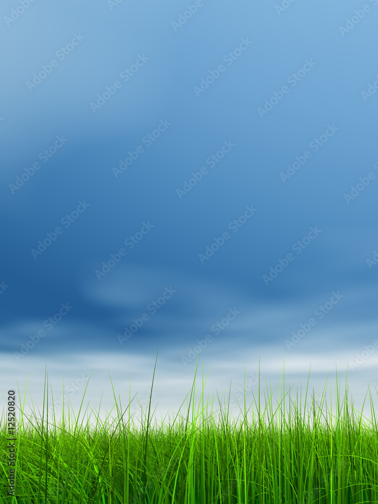 green grass over a blue sky with white clouds as background green grass over a blue sky with white clouds as background