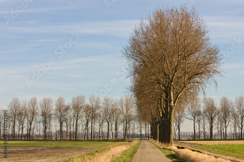Country road photo