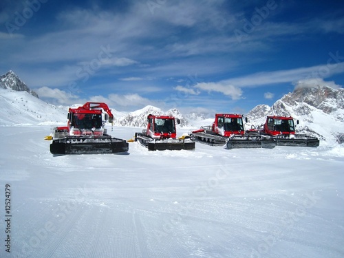 Bild auf Leinwand snowcats