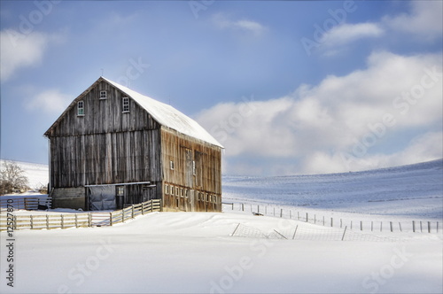 Winter