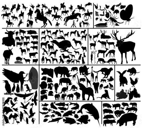 Animals