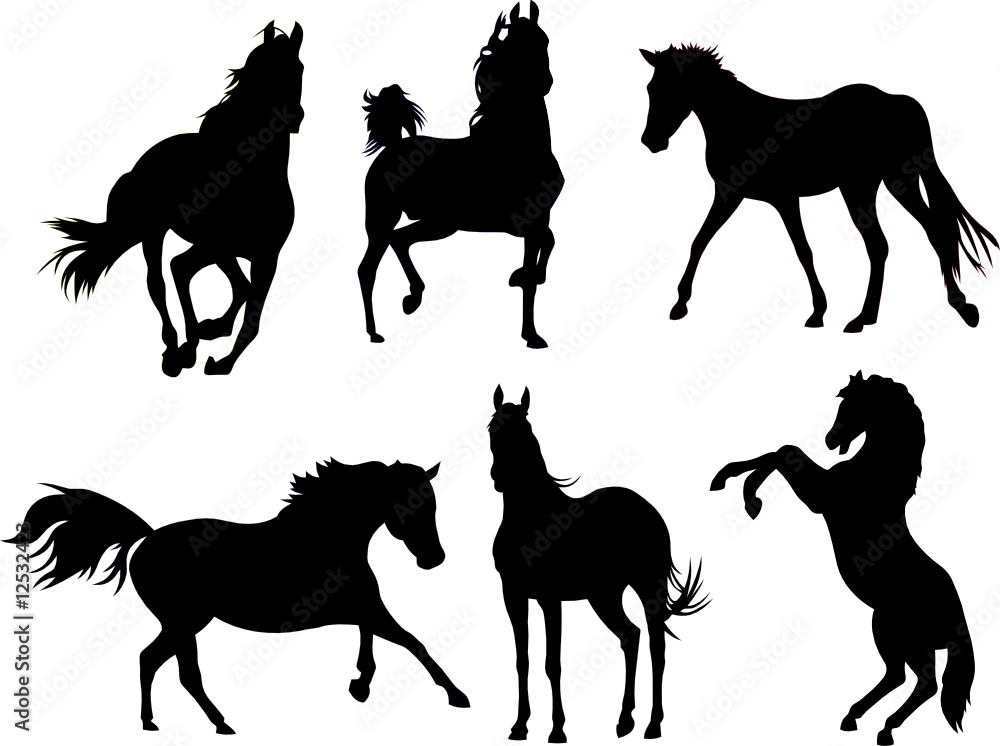 Naklejka premium Horse Silhouette Collection
