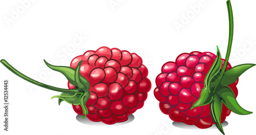 Raspberry