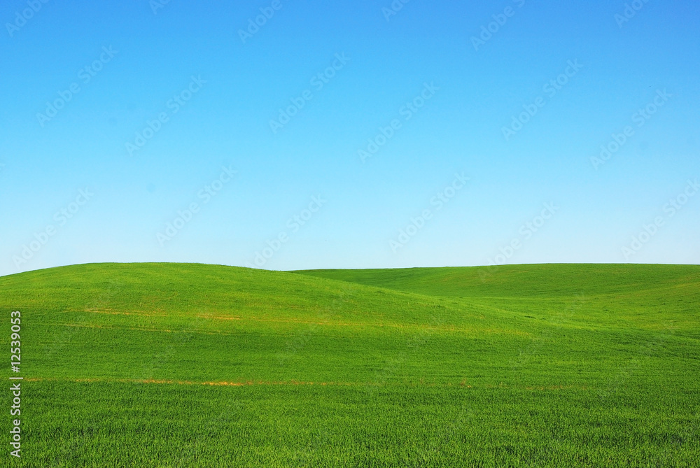 Green field at Alentejo region,Portugal. Green field at Alentejo region,Portugal.