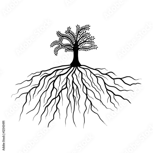 baum mit wurzeln II