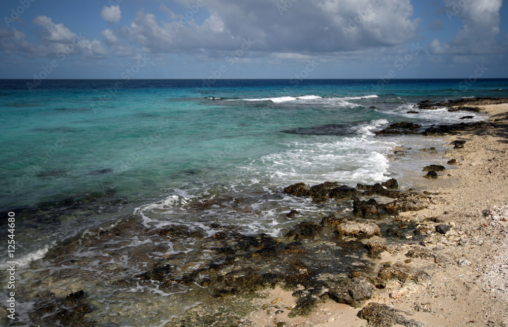 coral beach