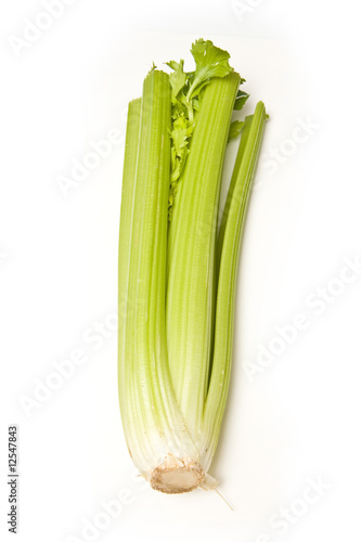Bunch of celery isolated on a white studio background.