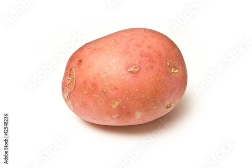 Red rooster potato isolated on a white studio background.