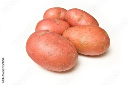 Red rooster potatoes isolated on a white studio background.