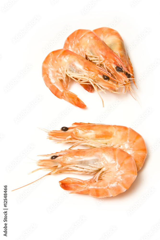 Crevettes, cooked prawns (shrimp) on a white studio background Crevettes, cooked prawns (shrimp) on a white studio background