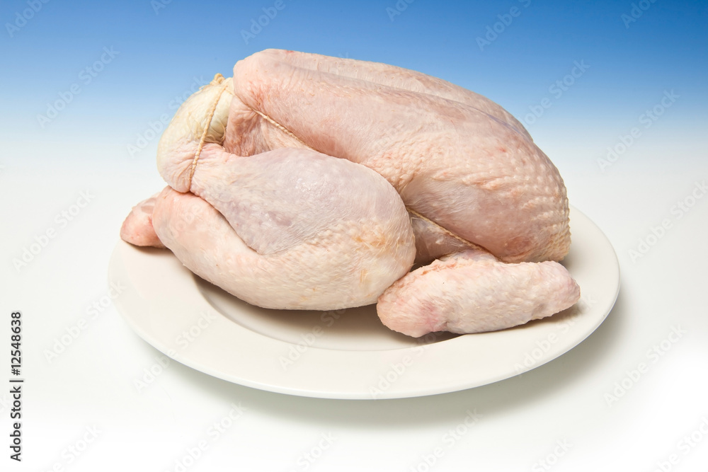 Whole raw chicken with a graduated blue studio background. Whole raw chicken with a graduated blue studio background.