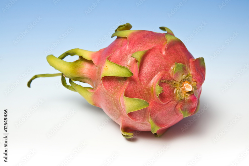 Dragon fruit on a graduated blue studio background. Dragon fruit on a graduated blue studio background.