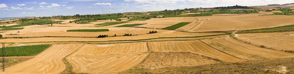 Castilla's fields panoramic 10237x2600