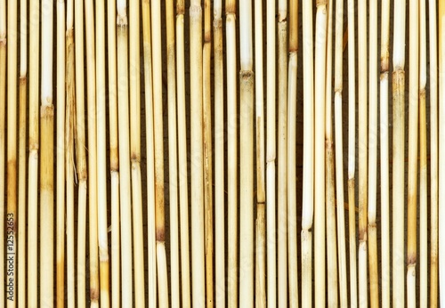Chinese bamboo background