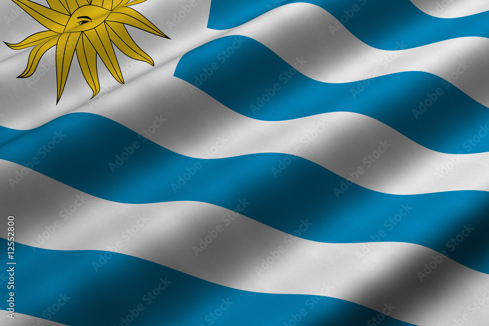 Obraz premium Uruguayan Flag