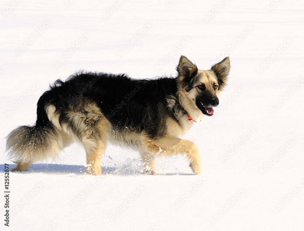 Naklejka premium Elegante Jägerin