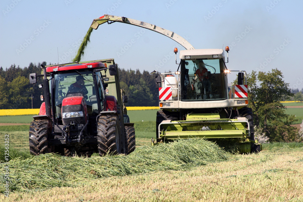 Obraz premium Landwirtschaftliche Arbeiten mit einem Häcksler