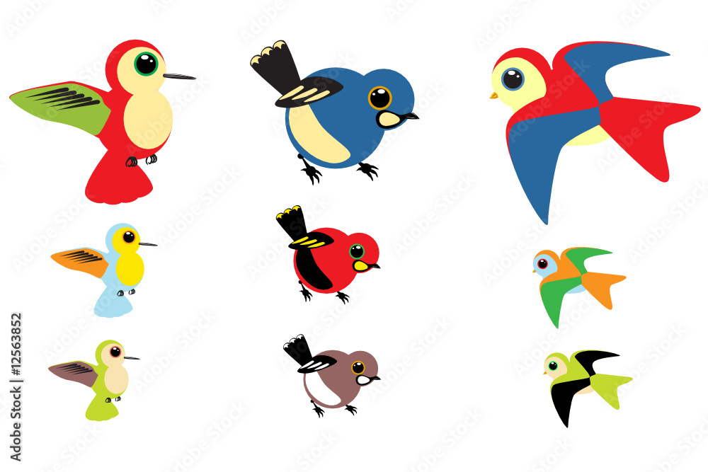 Colorful Birds Colorful Birds
