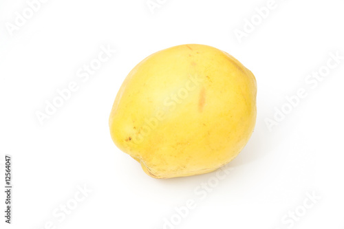 Quince isolated on a white studio background.