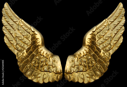 Golden Wings