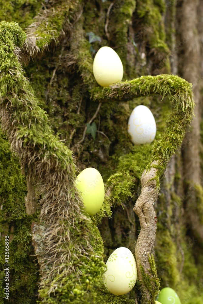oeufs de pâques dans les bois oeufs de pâques dans les bois