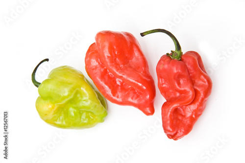 West indian Scotch bonnet peppers isolated. photo