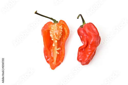 West indian Scotch chili bonnet peppers photo