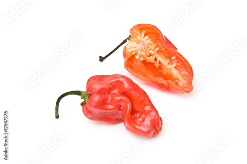 West indian Scotch bonnet peppers photo