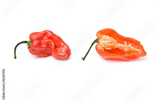 West indian Scotch bonnet chili peppers isolated on white photo