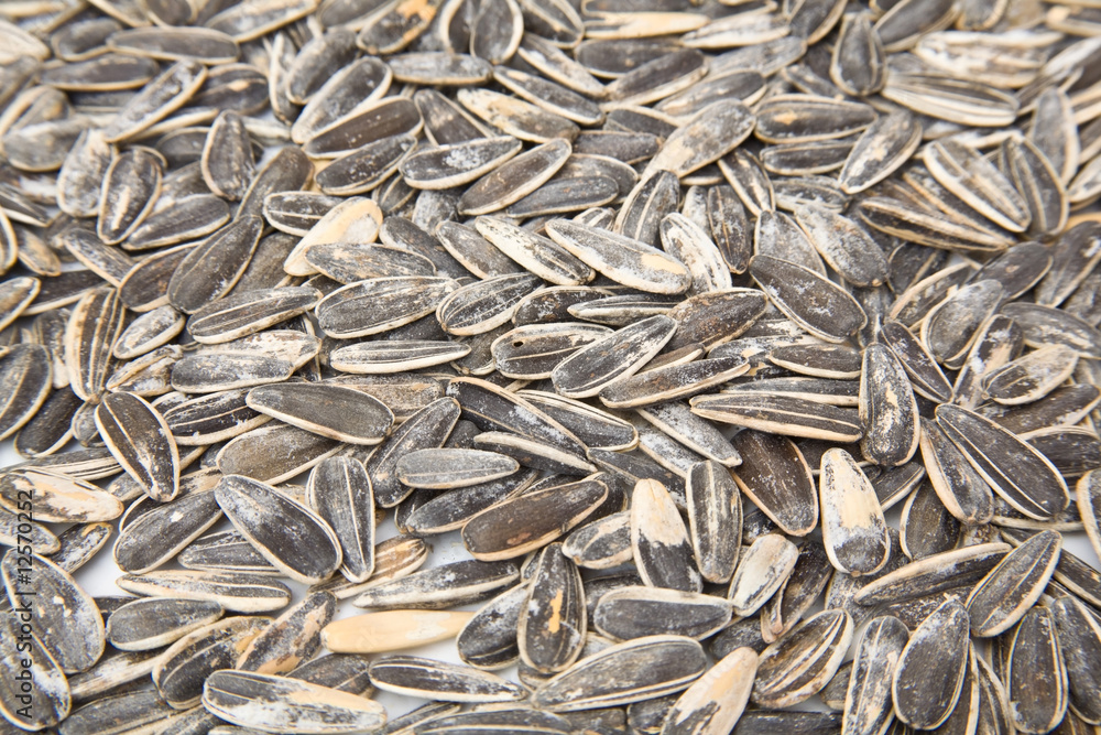 Sunflower seeds isolated on a white studio background. Sunflower seeds isolated on a white studio background.