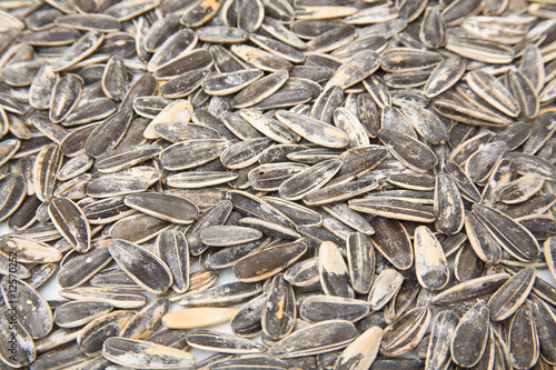 Sunflower seeds isolated on a white studio background.