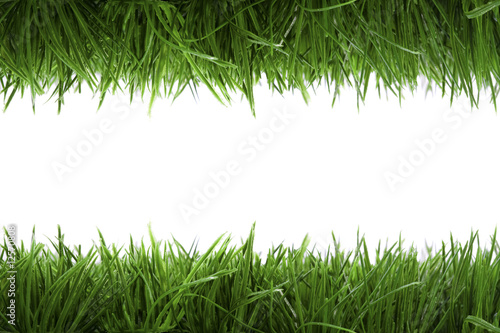frame background with green grass