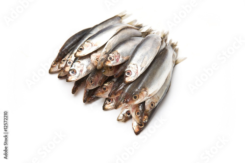 Canvas-taulu Sprats isolated on a white studio background.