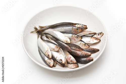 plate of sprats isolated on a white studio background. photo