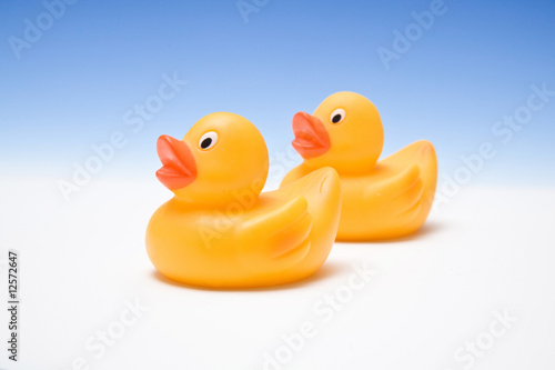Rubber ducks on a blue studio background. photo