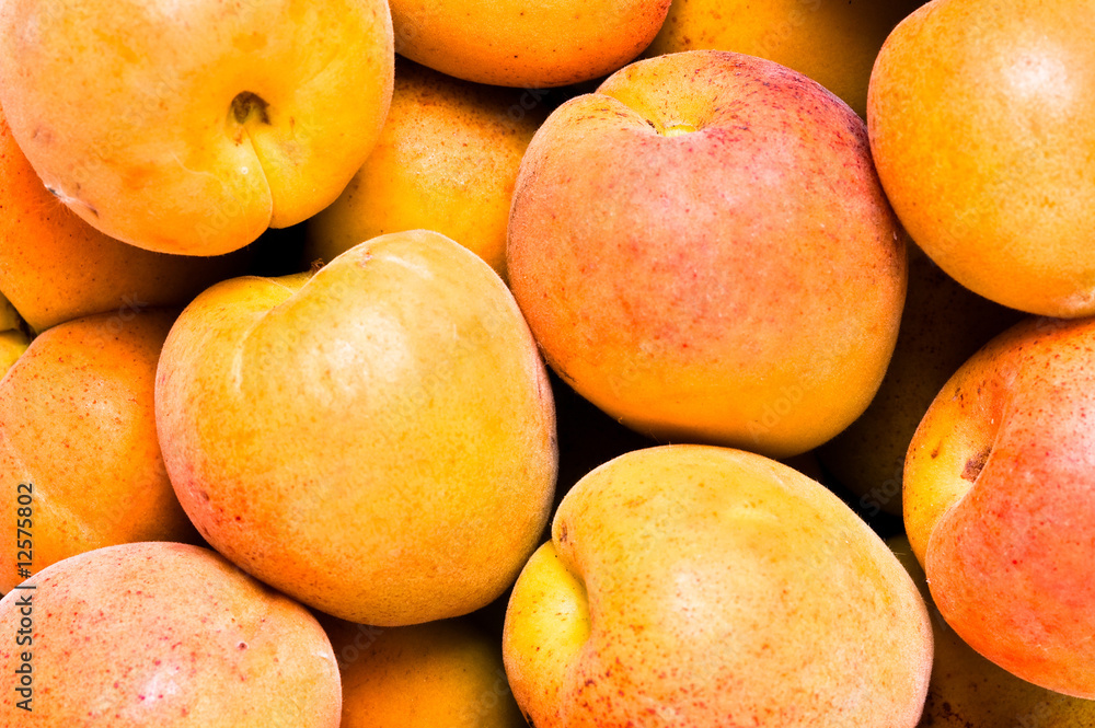 close-up apricot background