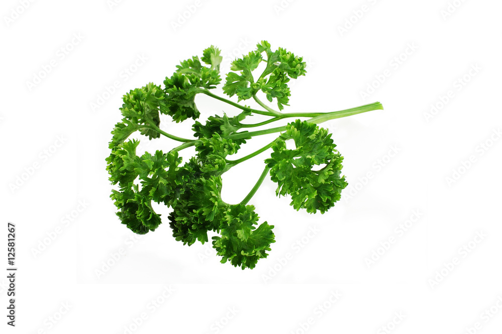 Parsley Parsley