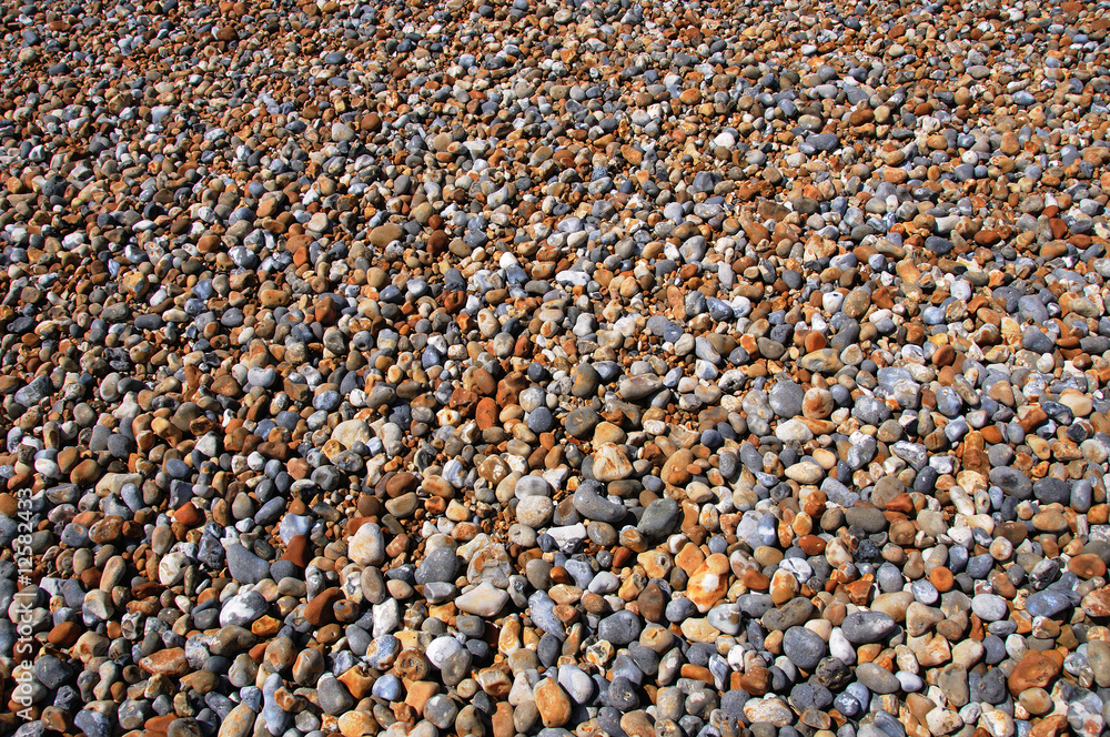 Shingle Shingle