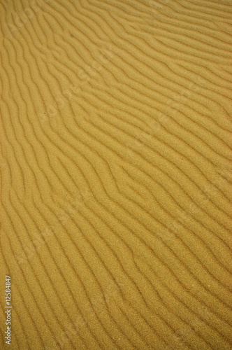 Sand dune in Patagonia.