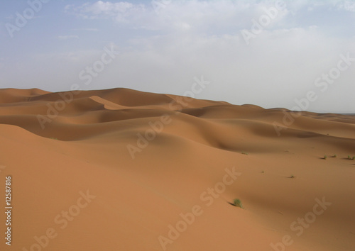 Fototapeta Naklejka Na Ścianę i Meble -  vagues de sable dans le désert du Maroc