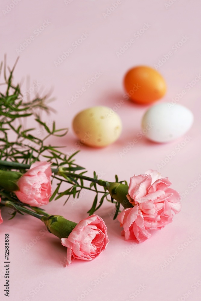 Pink carnation and easter eggs Pink carnation and easter eggs