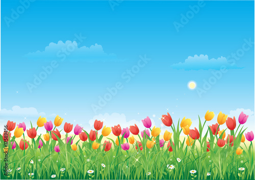 Floral meadow. Tulips