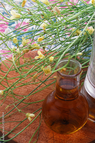 Fiori di rucola - Cucina alle erbe e fiori eduli photo