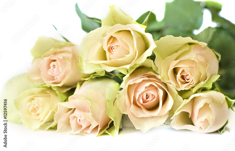 Beautiful roses Beautiful roses