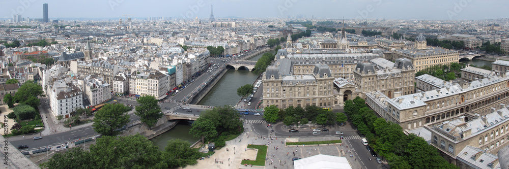 Obraz premium tour Eiffel from Notre dame
