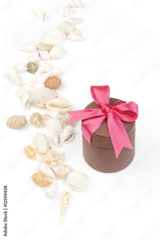 Holiday gift with red riband and various seashells Holiday gift with red riband and various seashells