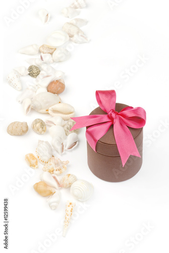 Holiday gift with red riband and various seashells