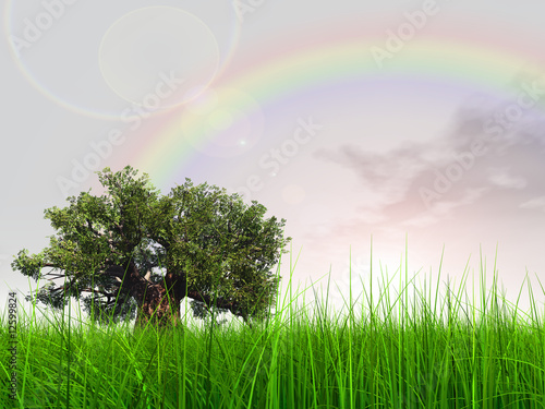 3d green grass over a nice sky with clouds and a rainbow