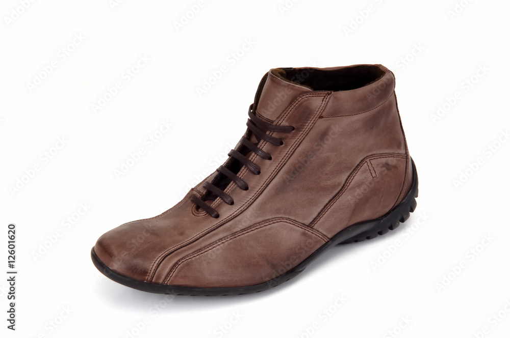 shoe shoe