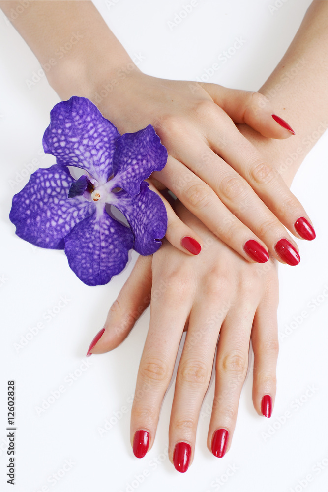 Fototapeta premium Beautiful manicure and purple orchid